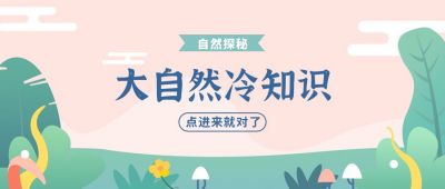 自然科普知识清新植物插画公众号首图 模板ID：9260