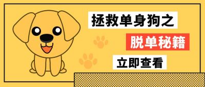黄色简约脱单秘籍公众号首图 模板ID：9517