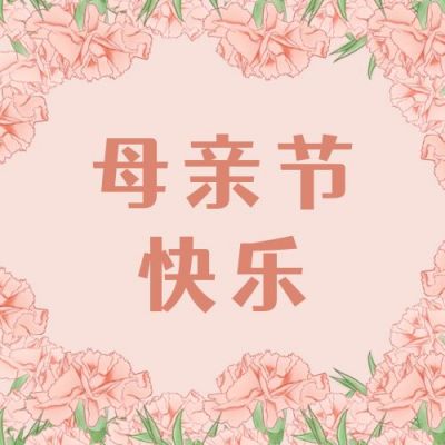 母亲节祝福康乃馨花卉公众号次图 模板ID：9625