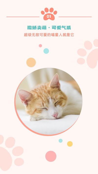 可爱猫咪治愈萌宠卡通彩色竖版配图 模板ID：9994