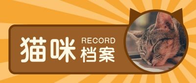 猫咪卡通头像档案可爱萌宠公众号首图 模板ID:10000
