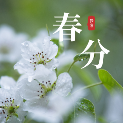 春分节气春天小清新实景公众号次图 模板ID:10180
