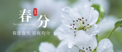 春分节气春天小清新实景公众号首图 模板ID:10179