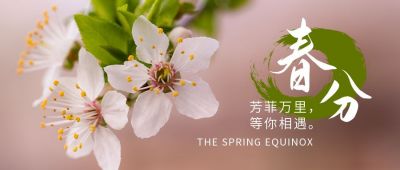 春分节气春暖花开梨花实景公众号首图 模板ID：10251