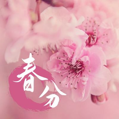 春分节气春暖花开樱花实景公众号次图 模板ID：10245