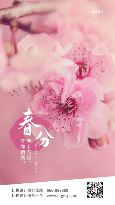 春分节气春暖花开樱花实景手机海报 模板ID:10248