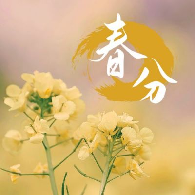 春分节气春暖花开油菜花实景公众号次图 模板ID：10244