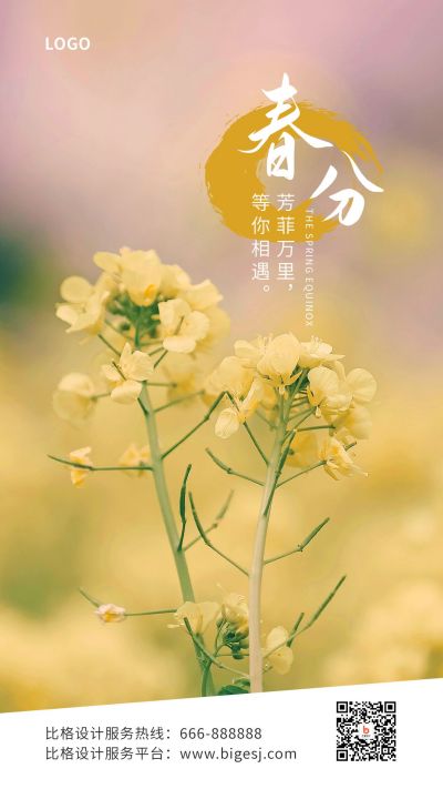 春分节气春暖花开油菜花实景手机海报 模板ID：10242