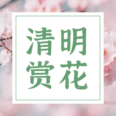 清明节旅游出行赏花踏青公众号次图 模板ID:10538
