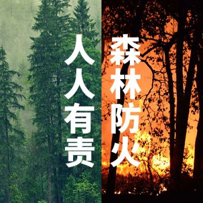 森林防火人人有责创意实景公众号次图 模板ID:10678