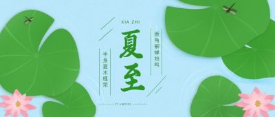 夏至节气荷塘插画公众号首图 模板ID：11307
