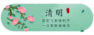 传统清明节踏青旅游祭祀胶囊banner 模板ID:10846
