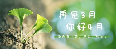 4月你好早安问候春天银杏实景公众号首图 模板ID:10853