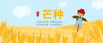 芒种二十四节气麦田插画公众号首图 模板ID:11325