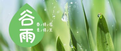 谷雨节气春雨露珠清新实景美图公众号首图 模板ID:11226