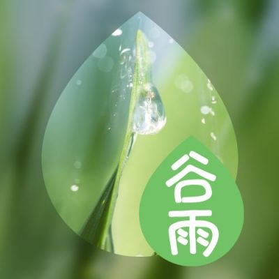 谷雨节气春雨清新实景美图公众号次图 模板ID：11228
