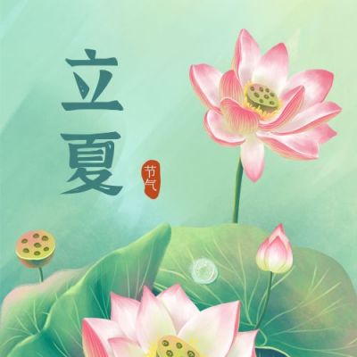 清新唯美立夏荷花公众号封面次图 模板ID：11514