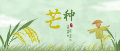 水墨风芒种节气公众号首图 模板ID:11592