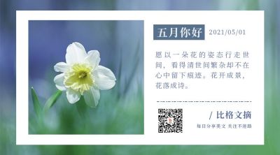 实景文摘日签简约文艺关注二维码 模板ID:11745