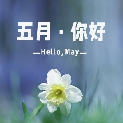 五月问候清新文艺水仙花实景公众号次图 模板ID:11744