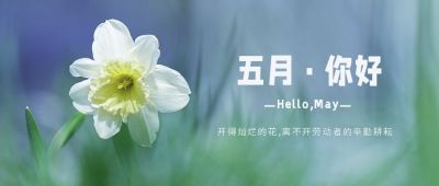 五月问候清新文艺水仙花实景公众号首图 模板ID:11743
