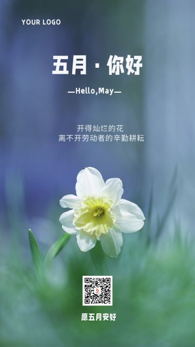 五月问候清新文艺水仙花实景手机海报 模板ID:11742