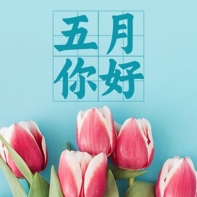 5月你好清新简约郁金香实景公众号次图 模板ID：11812