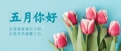 5月你好清新简约郁金香实景公众号首图 模板ID：11811