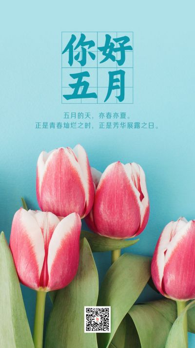5月你好清新简约郁金香实景手机海报 模板ID：11810