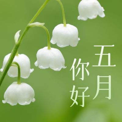 5月你好早安问候清新铃兰实景公众号次图 模板ID：11808