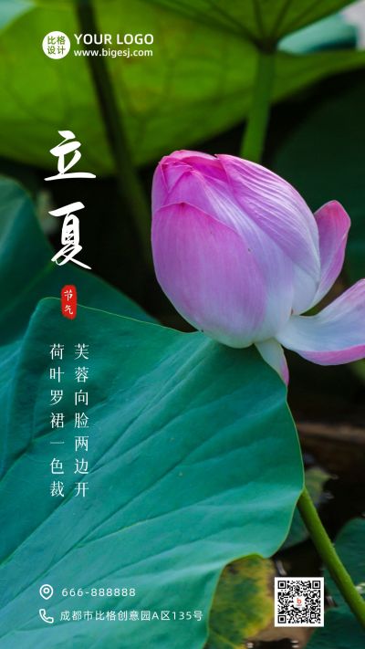 夏天清新荷花实景二十四节气立夏手机海报 模板ID:11821