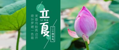 立夏节气祝福问候夏天荷花实景公众号首图 模板ID:11816