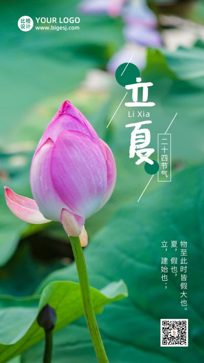 立夏节气祝福问候夏天荷花实景手机海报 模板ID:11819
