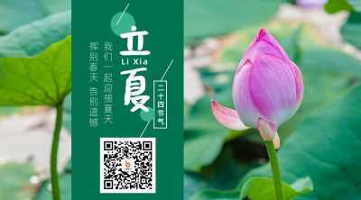 立夏节气祝福问候夏天荷花实景微信二维码 模板ID：11815