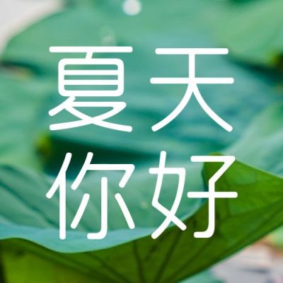 夏天你好问候祝福清新实景荷叶公众号次图 模板ID:11814