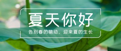 夏天你好问候祝福清新实景荷叶公众号首图 模板ID：11813