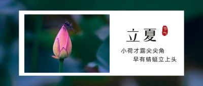 简约清新荷花实景二十四节气立夏公众号封面首图 模板ID：11847