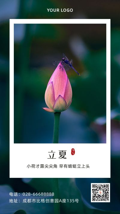 简约清新荷花实景二十四节气立夏手机海报 模板ID:11846