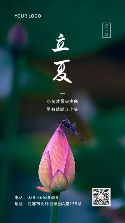问候祝福实景荷花二十四节气立夏手机海报 模板ID:11843