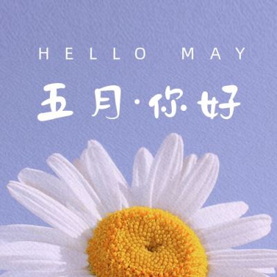 清新小雏菊五月你好月初问候公众号封面次图 模板ID:11873