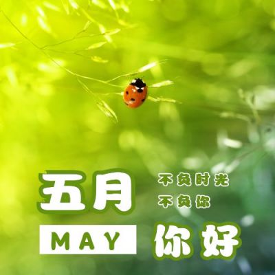 夏日实景五月你好月初问候公众号封面次图 模板ID：11877