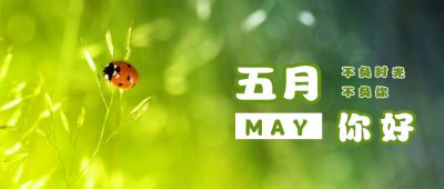 夏日实景五月你好月初问候公众号封面首图 模板ID:11876