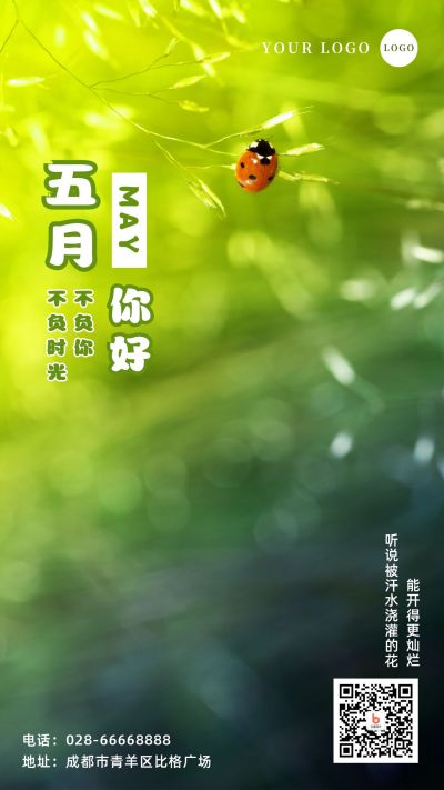 夏日实景五月你好月初问候手机海报 模板ID:11875