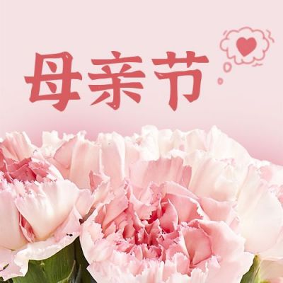 母亲节感恩祝福鲜花实景公众号封面次图 模板ID:11914