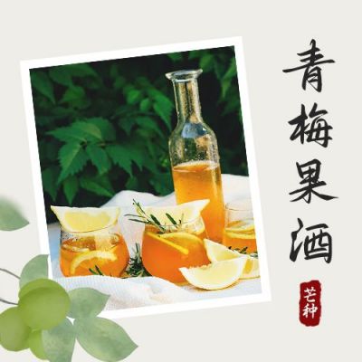 青梅煮酒夏日果酒展示晒照公众号封面次图 模板ID：11996