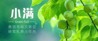 青梅梅子简约实景二十四节气小满公众号封面首图 模板ID:12043