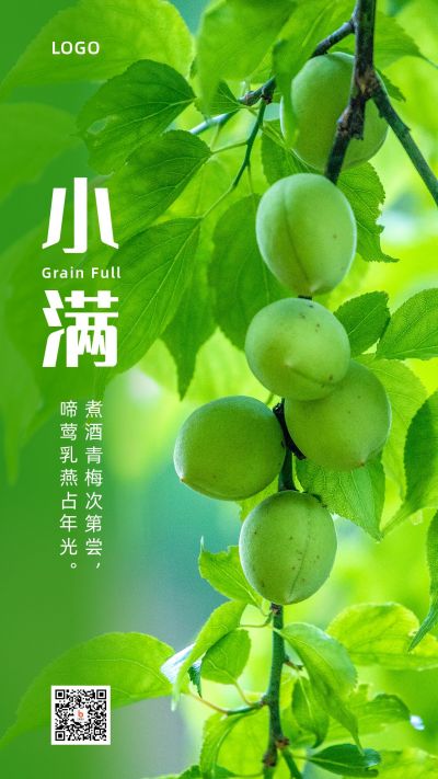 青梅梅子简约实景二十四节气小满手机海报 模板ID：12039