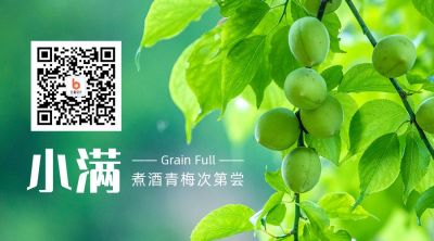 青梅梅子简约实景二十四节气小满微信二维码 模板ID:12046