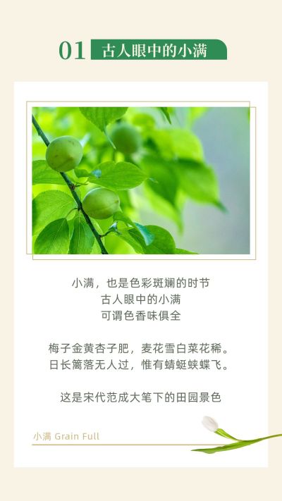清新简约实景二十四节气小满竖版配图 模板ID:12036