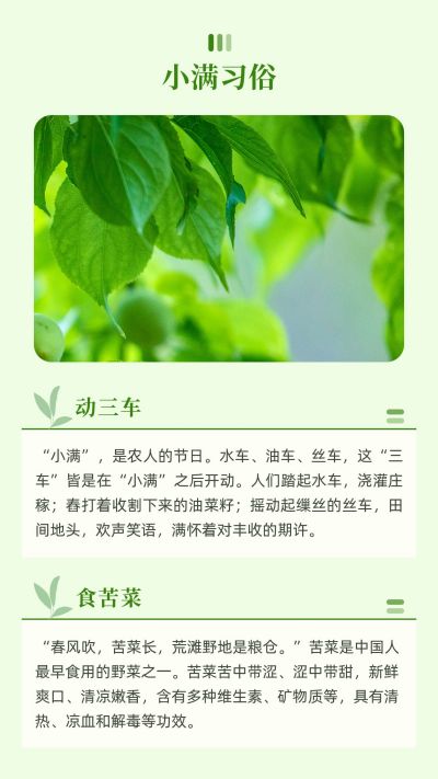 清新简约绿叶实景二十四节气小满竖版配图 模板ID：12033